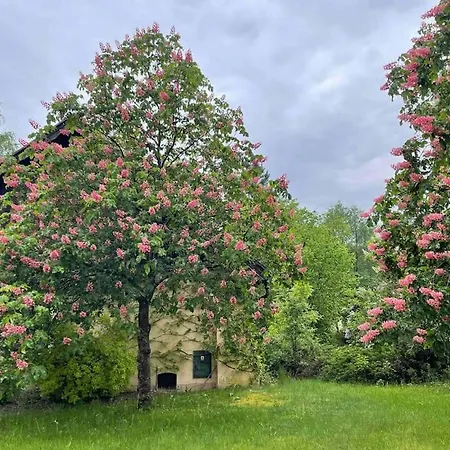 Komfortowy Dom W Lesie Holiday home Miedzichowo